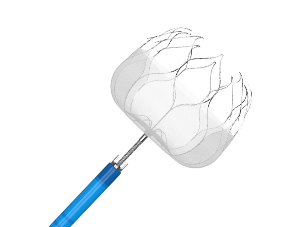 MemoLefort<sup>®</sup>Left Atrial Appendage (LAA) Occluders System