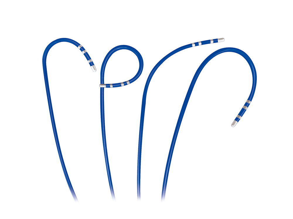 Eel Cath Electrophysiology Ablation Catheter