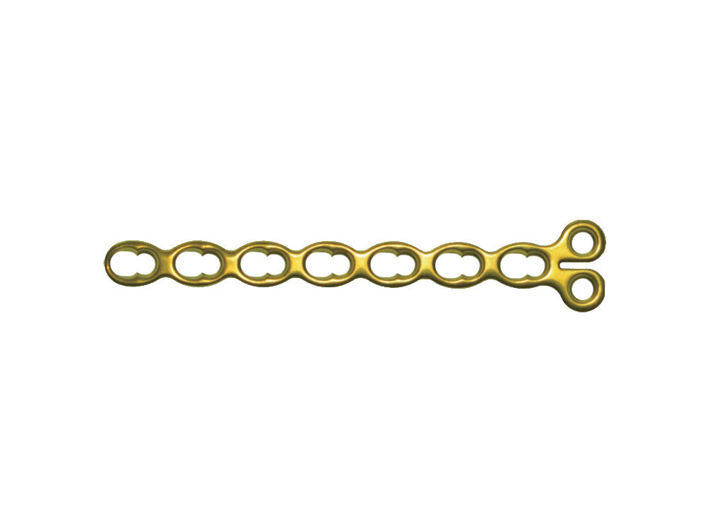 2.0 mm Condylar Locking Plate, Combined-lock