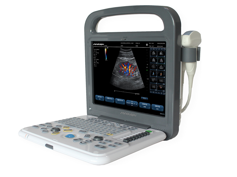 Veterinary Ultrasound