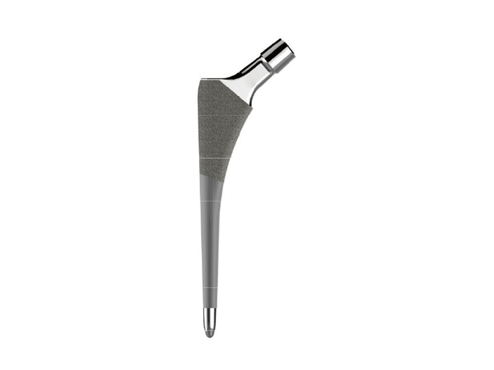 Bio-Type Femoral Stem